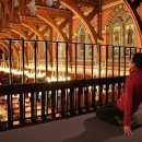 하버드식당 이미지