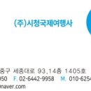 시청국제여행사