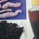 흙뿌리 농장 이미지