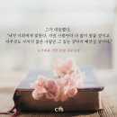 [CTS 말씀이미지] 누가복음 19장 26절 #말씀이미지 #감경철 #CTS #핸드폰배경화면 이미지