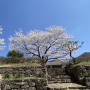 신안사로 | 금산 / 신안사