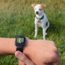 밴드홀릭 이미지