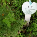 남대구초등학교 이미지
