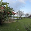 달팽이방갈로 | 호이안 리조트 추천 팜가든 방갈로 오션뷰를 바라보며 여유