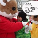 햄스터 라운지 이미지