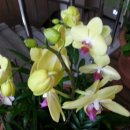 광용농장 이미지