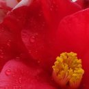 대륜동-2 이미지