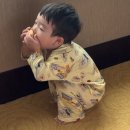 엄마랑 유리드믹스 12-18개월 | 마카오 로드스토우 에그타르트 완전 후기 | 18개월 아기와 함께한 맛집 투어