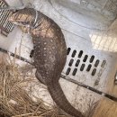 경상북도 야생동물 구조관리센터 이미지