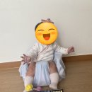 지153