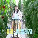 이유리농장 이미지