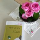 시외시학(Poetry & Poetics) 등단 작가 대사9회 김선자 시인, 노픽션 작가 소개 이미지