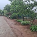 쑤니네 농장 이미지