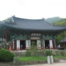 서진항공여행사(주)