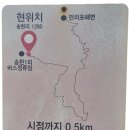태안 해변 산벚꽃 터널을 지나 봄날은 간다!(서해랑길 #68) 이미지