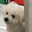 네일이솔솔