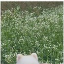 까미랑몽이