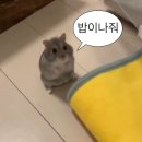 엘디에이치 이미지