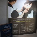 앙포레 아비떼 이미지
