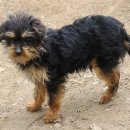 약진로변 이미지