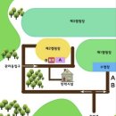 나정농원 | 남양주 “짱아캠핑장” 벚꽃캠핑 후기