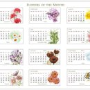 웰빙 쇼핑몰 이미지