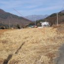 도대리보건진료소 이미지