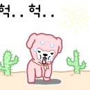 전주아레나