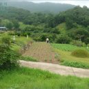 곡성-171 이미지