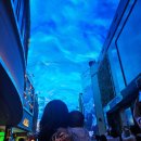 CU계산하이베라스점 | 6개월 아기랑 가볼만 한 곳 | 인스파이어 엔터테인먼트 리조트 1박 후기