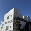 거제 해돋이가자 애견펜션(1) | 거제 반려견동반펜션 솔직후기 | 해피독펜션 재방문한 이유 🐶