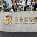 금융감독원 이미지