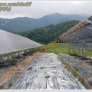 재중발전소 이미지