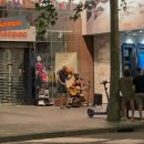 도전 스페인어와 친해지기 | D+237, 238, 239 떠나기전 추억쌓기 3, Bye Bye Auckland