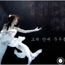 K의 해금 이미지