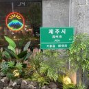 기흥구청입구 사거리 네이버블로그