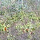 재학농장 이미지