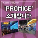 프로마이스