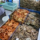 으뜸수산 | [주문진 대게 맛집] 으뜸수산 후기