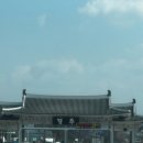 함양집 | 경주 한우물회 맛집 추천 함양집 후기