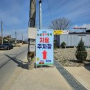 논산애견 | 2025 논산 딸기축제 애견동반, 주차꿀팁, 성심당 후기
