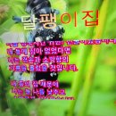 달팽이집 Daum카페