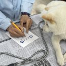 약초동물병원 이미지