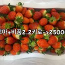 세용농장 이미지