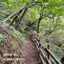이기대약수터 | 방법⭐️, 해파랑 1코스 스탬프 위치, 꿀팁, 후기 🌼 오륙도 - 이기대 공원 - 광안리 해변 - 동백섬...