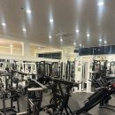 유플렉스짐 화명점 | 화명동헬스장 유플렉스짐 화명점 방문기｜연말 대비 운동 시작!