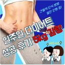 김준희다이어트김준희DIET | 일주일 다이어트 도전기 간헐적 단식 방법 공개!