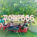 꾸어바666 이미지