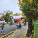 홍성초등학교 후문 이미지