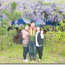 백사초교 이미지